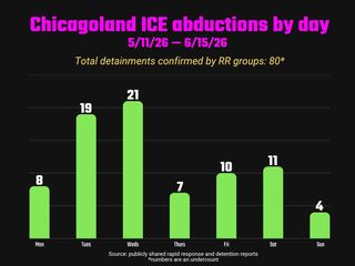 Column chart showing individual arrests as reported out by rapid response organizations by day of the week:
Monday: 8
Tuesday: 19
Wednesday: 21
Thursday: 7
Friday: 10
Saturday: 11
Sunday: 4