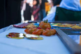 tomatoes on a white table cloth