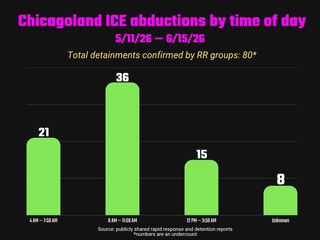 Column chart showing individual arrests as reported out by rapid response organizations by time of day:
4am - 7:59am: 21
8am-11:59am: 36
12pm-3:59am: 15
unknown: 8