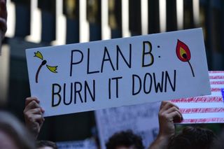 A handmade protest sign with an image of a match that reads, "PLAN B: BURN IT DOWN"